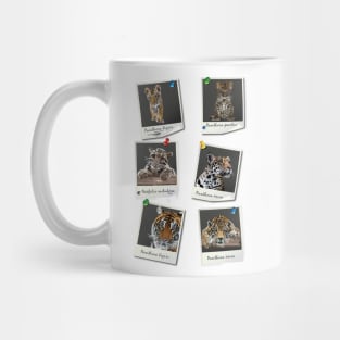 felines Mug